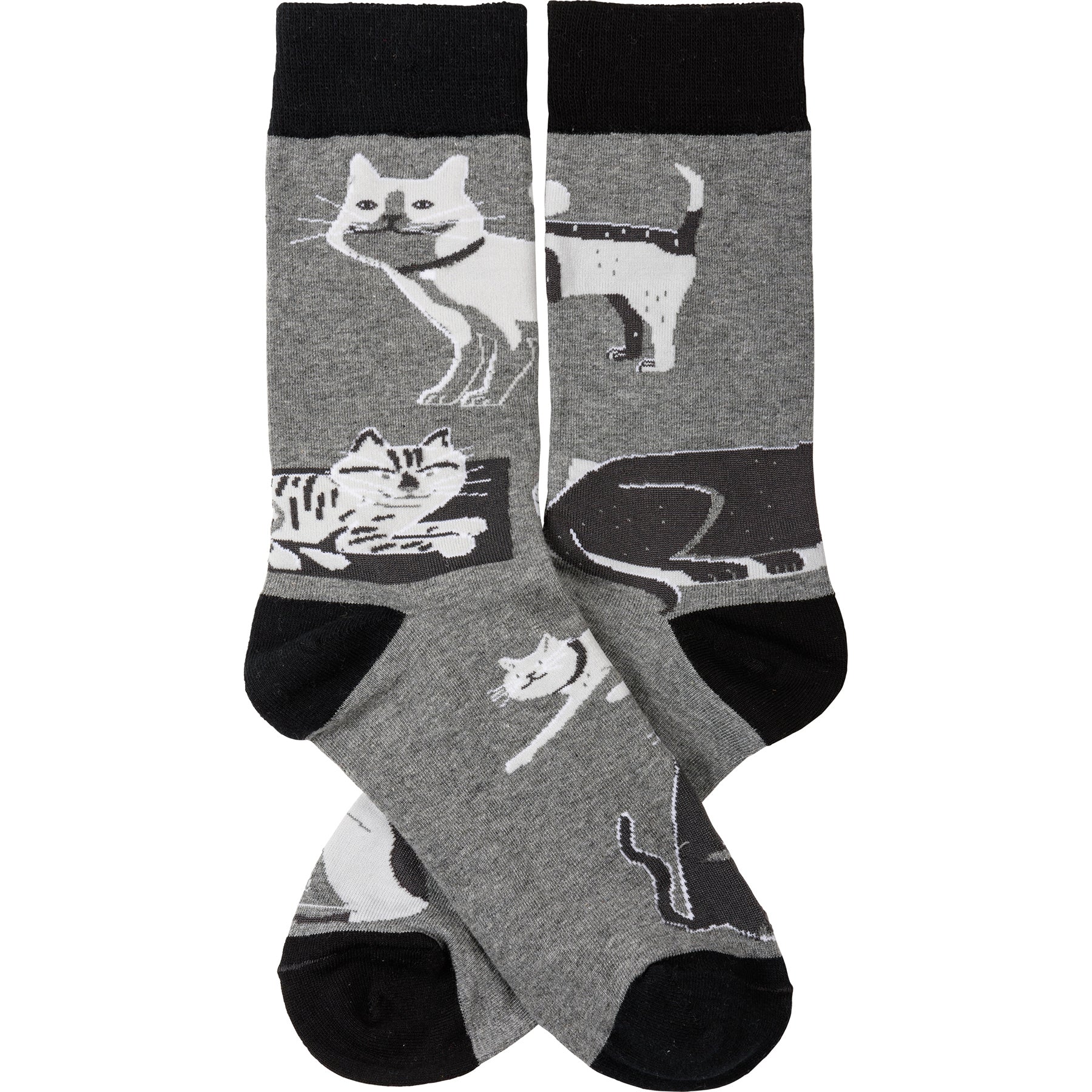 Socks - Cats & Dogs