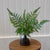 Plant - Faux Fern in Glass Jar Assorted