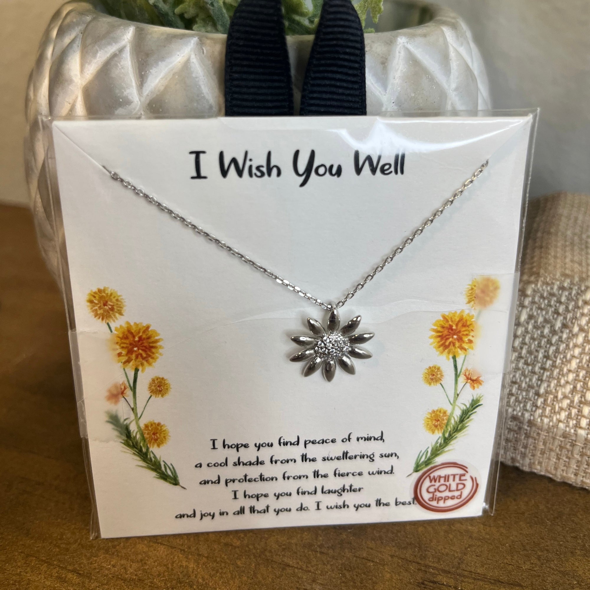 Necklace - I Wish You Well Silver