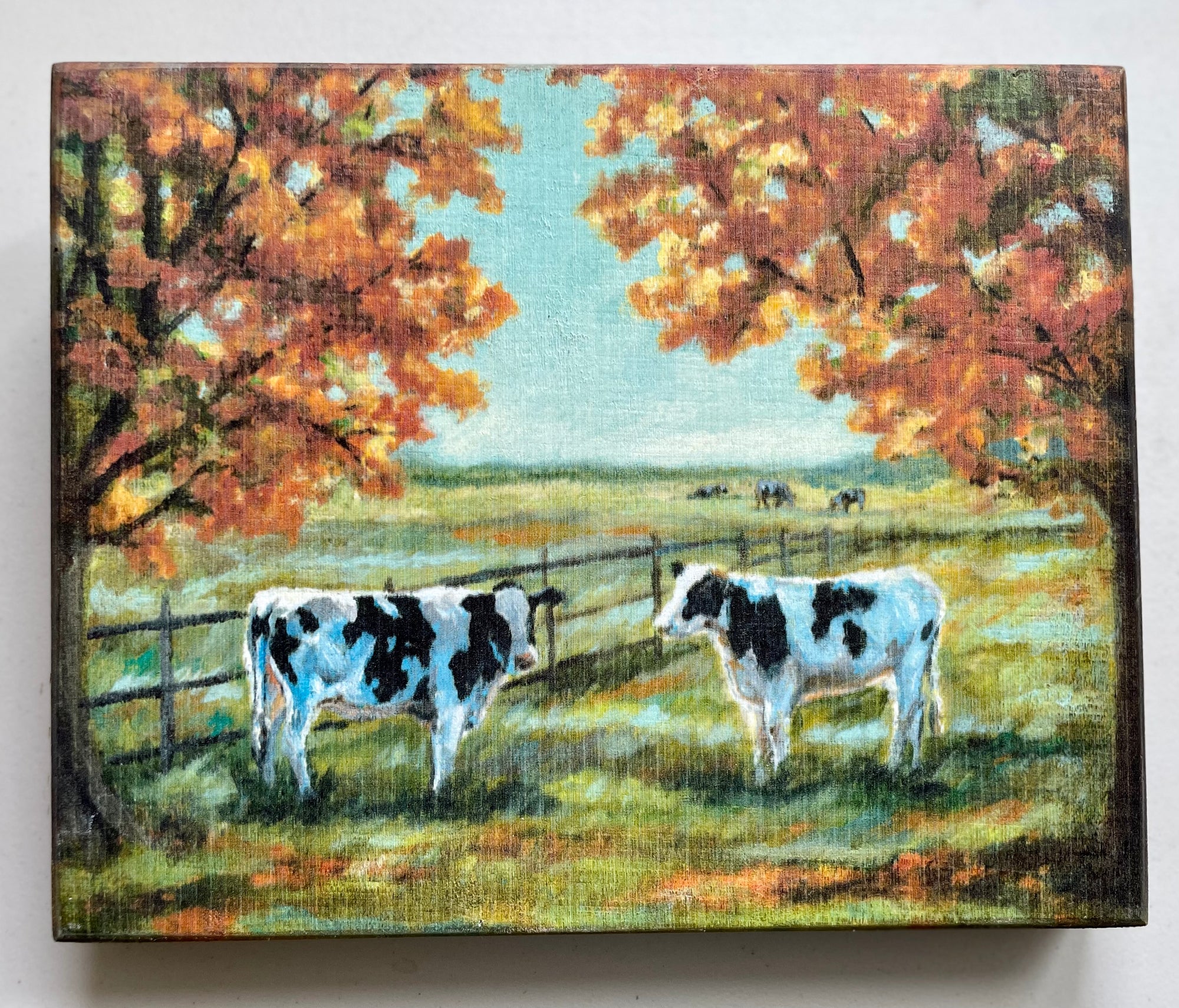 Cows in Pasture Box Sign