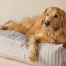 A Dog's World Large Dog Bed